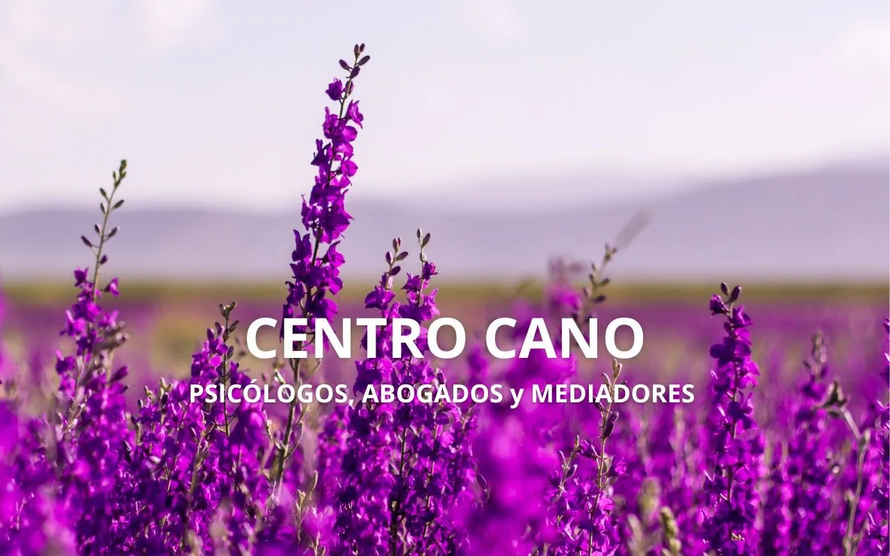 Centro Cano